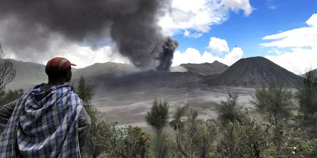 Suhu Capai 0 Derajat, Kawasan Gunung Bromo dan Semeru Dipenuhi Embun Salju