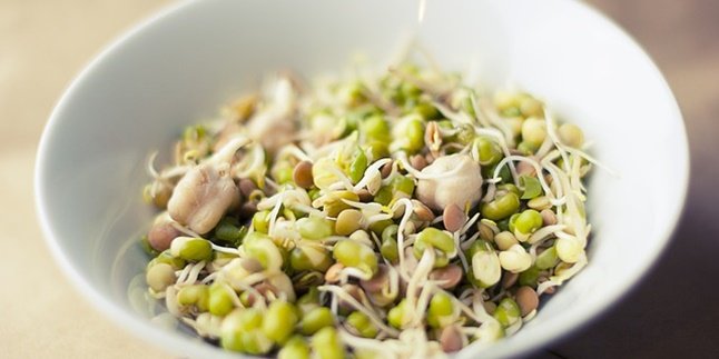 Not Only Good for Fertility, Here are 8 Benefits of Sprouts for Health