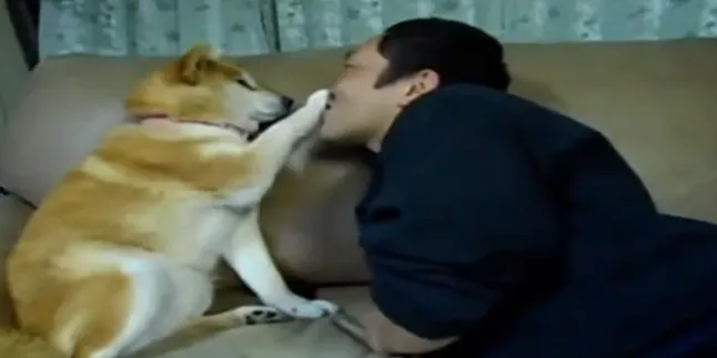 Tak Mau Dicium, Anjing Ini Usili Tuannya
