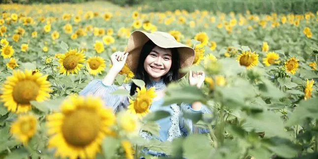 Taman Dewari, Lautan Bunga Matahari Incaran Netizen