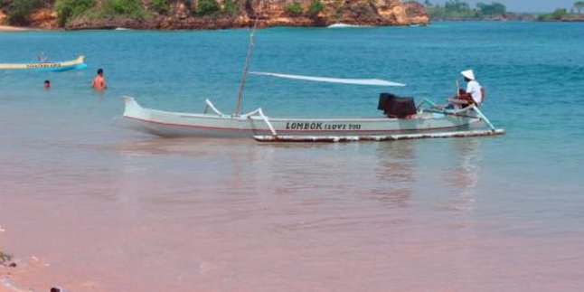 Tempat Wisata Ikonik di Lombok Timur, Dari Pantai Merah Muda hingga Danau Misterius di Dekat Rinjani