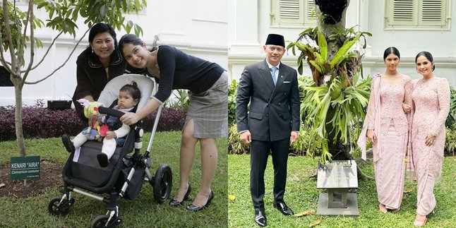 Terkuak Cerita Alasan Ani Yudhoyono Tanam Pohon Kenari untuk sang Cucu, Buat Annisa Pohan dan sang Anak Menangis