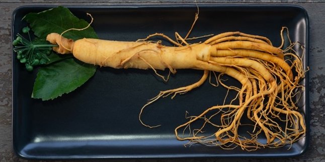 Benefits of Korean Ginseng for Health, Along with Side Effects If Consumed Excessively
