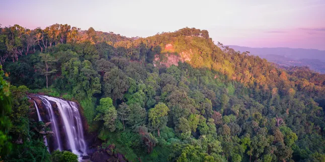 Ternyata Ini Rahasia Pariwisata di Kendal Makin Keren!