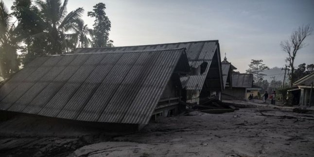 Tiga Titik Lokasi Erupsi Semeru Masih Menjadi Konsentrasi Penyisiran Tim SAR