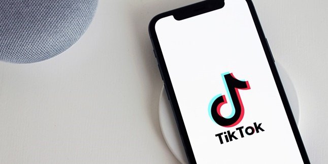 TikTok Digugat Rp 13,1 Miliar Soal Pelanggaran Hak Cipta Lagu Virgoun