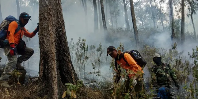 Tim Terus Sisir Kemungkinan Muncul Api di Sisa Kebakaran Gunung Arjuno