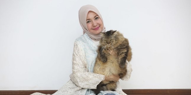 Living Alone at 60 Years Old, Henidar Amroe Lives with Her 5 Beloved Cats