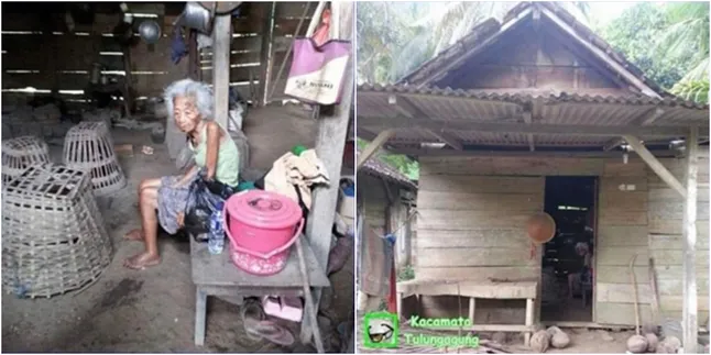 Tinggal Sendirian di Gubuk, Nenek 90 Tahun Ini Cuma Ditemani Ayam
