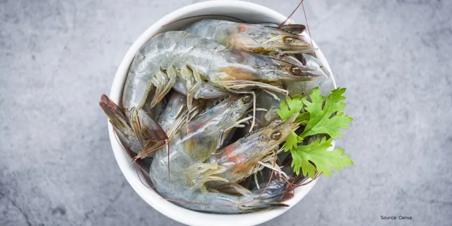 Tips Efektif Menyimpan Udang agar Tahan Lama dan Berkualitas
