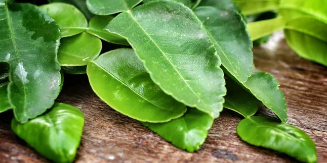 Tips Sederhana Daun Jeruk Awet dan Wangi, Hanya Butuh Plastik Ziplock