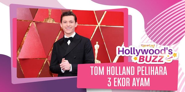 Tom Holland Keeps 3 Chickens Because He Ran Out of Eggs at the Supermarket