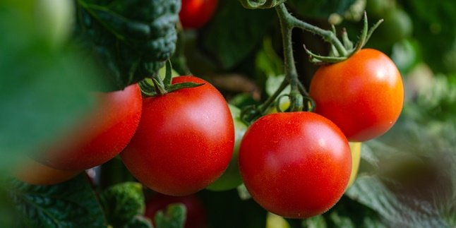 Tomato Flavored from Mars can now be enjoyed in a Bottle, Interested in Trying?