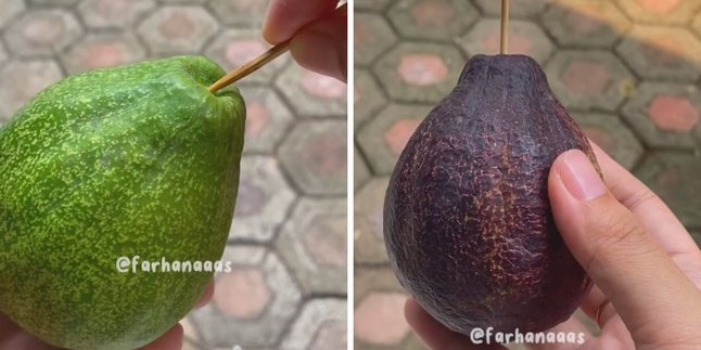 Trik Agar Buah Alpukat Cepat Matang, Hanya Pakai Satu Alat Sederhana