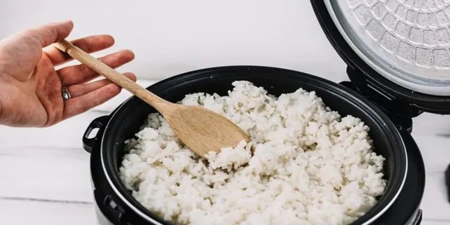 Trik Jitu untuk Mengembalikan Nasi Kering di Rice Cooker agar Bisa Dinikmati Lagi