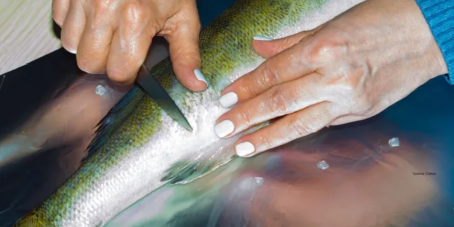 Trik Sederhana Mengatasi Bau Amis Ikan di Tangan dengan Pasta Gigi