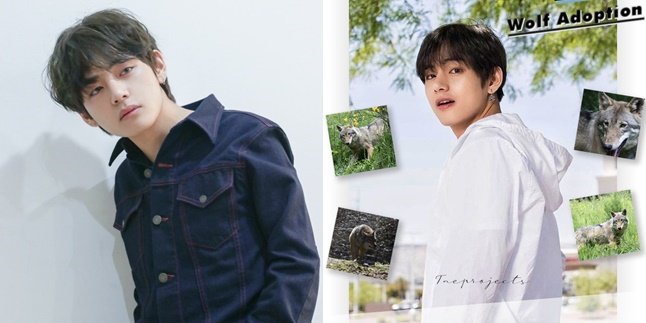 V BTS Birthday, Fans Celebrate with Fundraising for Wolf Adoption