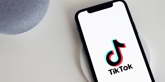 Viral di TikTok, Ini Lirik dan Makna Lagu 'Garam dan Madu'