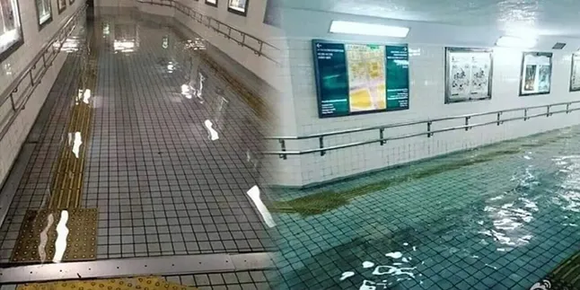 Viral Foto Banjir di Jepang, Airnya Jernih Tanpa Sampah Sedikitpun