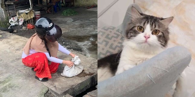 Viral Kucing Hilang Ditemukan Terbunuh, Hanya Sisa Kepala dan Dagingnya Akan Dijual