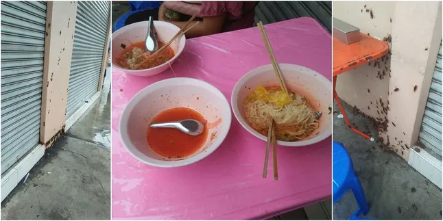 Wanita Ini Makan Ditemani Ratusan Kecoa, Responnya Mengejutkan!
