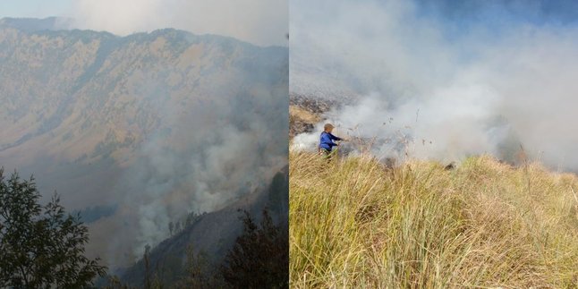 Wisata Gunung Bromo Terbakar, Balai Besar Taman Nasional Bromo Tegaskan Tutup Semua Kegiatan Pengunjung