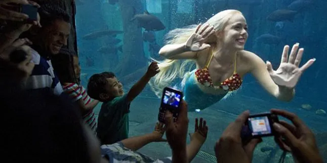 Wow, Apakah Ini Penampakan Putri Duyung Asli?