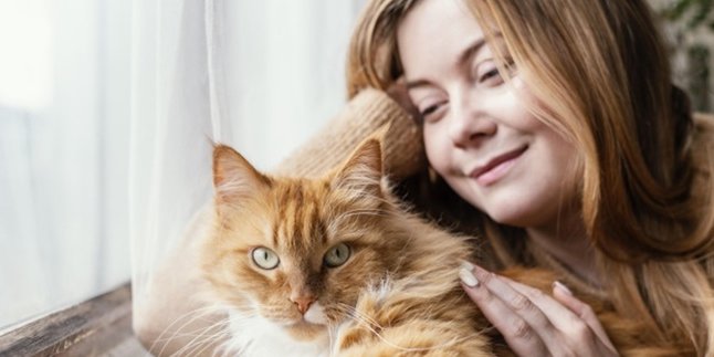 54 Kata-Kata Tentang Kucing Menyentuh Hati, Penuh Makna Mendalam - Jadikan Bahan Renungan