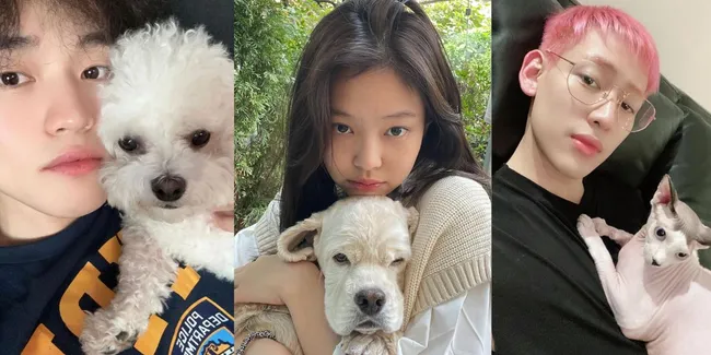 8 Hewan Peliharaan Idol K-Pop yang Mencuri Perhatian Penggemar