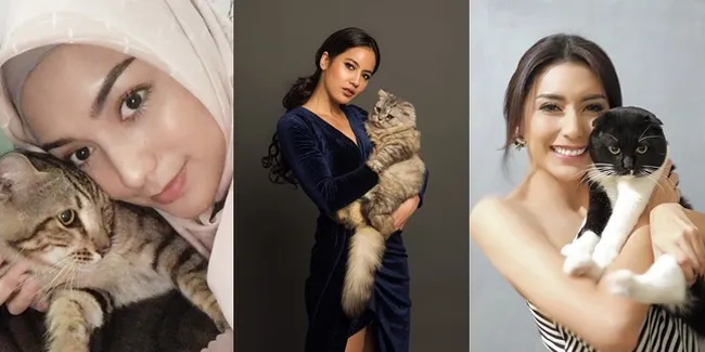 Bikin Gemas - Jadi Kesayangan, 8 Seleb Ini Ternyata Pecinta Kucing Sampai Punya Media Sosial Sendiri
