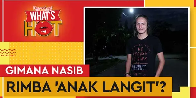 Dylan Carr Kecelakaan, Bagaimana Nasib Rimba 'Anak Langit'?