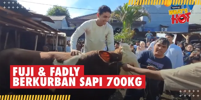 Fuji dan Fadly Kurban Sapi Jumbo, Haji Faisal: Biar Anak-Anak Belajar Berbagi
