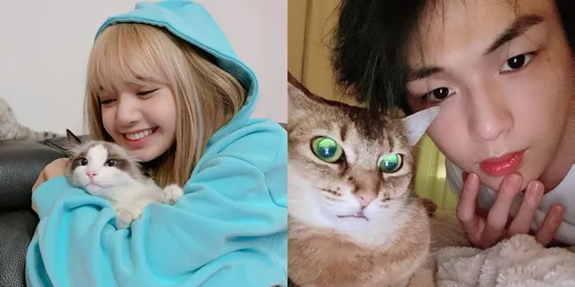8 Idol K-Pop Pecinta Kucing, Momen Kebersamaan Mereka Bikin Gemas - Jadi Sosok Penyayang