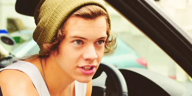 Harry Styles, Tokoh Paling Dibenci 2013!