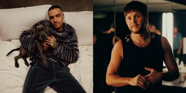 Liam Payne Sempat Datang ke Konser Sahabatnya Niall Horan, Dua Minggu Sebelum Meninggal