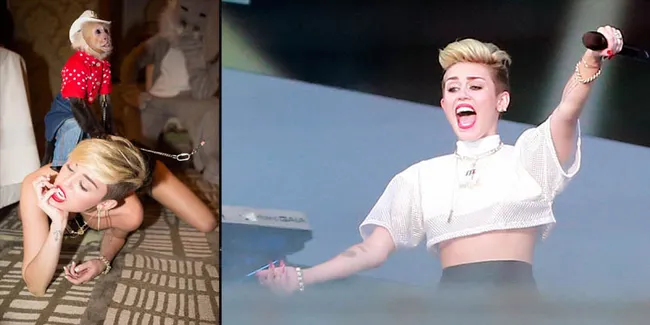 Miley Cyrus Twerking Dengan Monyet?