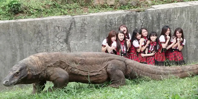 Nabilah JKT48 Berani Selfie Bareng Komodo