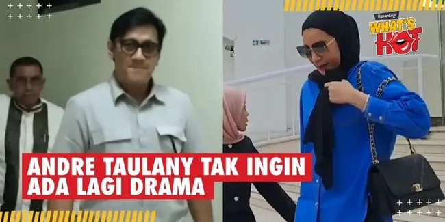 Resmi Bercerai, Andre Taulany Ingin Fokus Buka Lembaran Baru