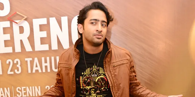 Ups! Shaheer Sheikh Minta Maaf pada Pemeran Iron Man, Ada Apa?