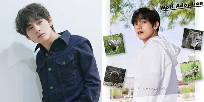 V BTS Ulang Tahun, Fans Rayakan dengan Galang Dana untuk Adopsi Serigala