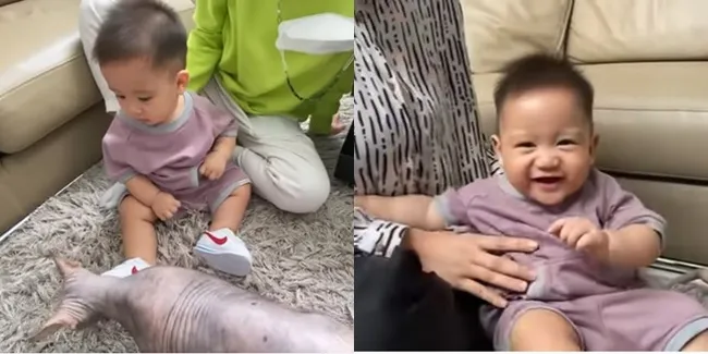 10 Potret Gemas Baby Athar yang Lagi Belajar Merangkak, Reaksinya Heboh Ketemu Kucing Sphynx