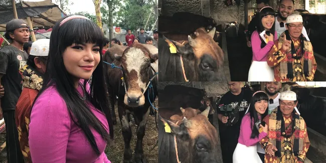 10 Potret Dinar Candy Pilih Hewan Kurban Untuk Idul Adha, Beli Tiga Ekor Sekaligus - Teriak Ketakutan Karena Dijilat Sapi