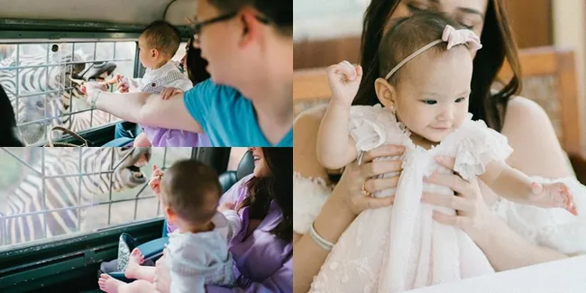 6 Foto Keluarga Shandy Aulia Liburan ke Kebun Binatang, Baby Claire Berani Banget Dekati Hewan 