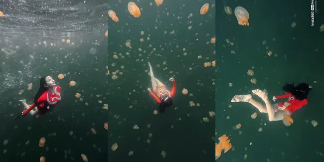 7 Potret Kirana Larasati Berenang Bareng Ubur-Ubur, View Keindahan Laut Raja Ampat yang Mengesankan