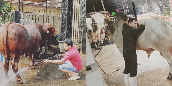8 Potret Hardi Fadhillah Pemain FTV yang Sekarang Jadi Peternak Sapi, Memilih Hidup Sederhana Bareng Istri dan Anak-anak