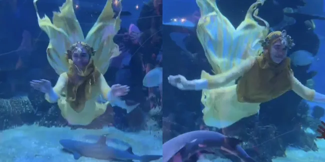 8 Potret Ria Ricis Menyelam di Akuarium Bareng Ikan Hiu, Pakai Kostum Putri Duyung - Akui Sempat Panik