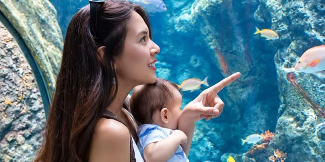 Potret Aurelie Moeremans Ajak Baby Tommy ke Akuarium, Mirip Tyler Bikin Salfok