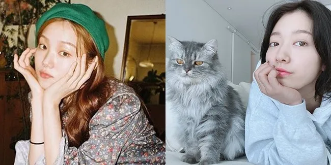 Bukan Hanya Super Cantik, 6 Aktris Korea Ini Juga Penyayang Kucing: Ada Lee Sun Kyung Sampai Park Shin Hye