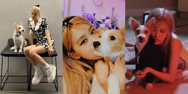 Foto-Foto Cute Rose BLACKPINK Bersama Hank Si Anjing Peliharaan, Temani Syuting MV Sampai Debut di Acara TV!