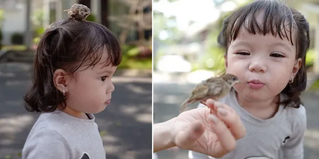 FOTO: Wajah Imut dan Lucu Baby Gempi Saat Main Burung, Gemesin!